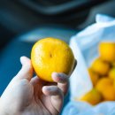 정량2농장 이미지