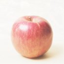 초원농장 이미지