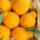 금동농장 이미지