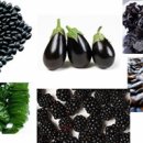 닥터모락 계양구청점 이미지