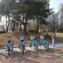 웅천청소년공원 이미지