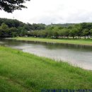 사선대야영장 이미지