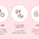온도담 이미지