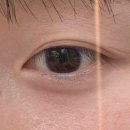 씨유 분당아름건영점 | [성남/분당] 판교속눈썹펌 맛집 &#39;호두뷰티&#39;