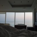 오션하버 이미지