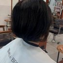 보물PC | 루원시티미용실: 내 머리를 책임져 줄 새로운 보물창고 발견!