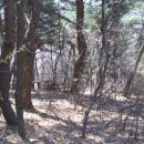 사곡1리 이미지