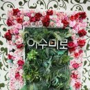 원더랜드토이