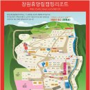 창원 휴양림 오토 캠핑장 이미지