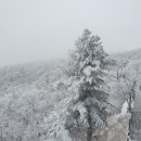 제이투어 - 강서구 양천로 34 | 제이투어