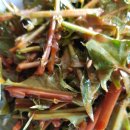 사월농장 이미지