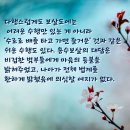 (용수보살)비겁한 범부들에게 마음의 등불을 밝혀주시다. 이미지