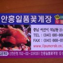 안흥일품꽃게장 이미지