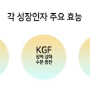 케이지에프(KGF) 이미지