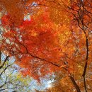 다솔사길 | 차(茶) 향기 속에 스며든 천년의 고찰, 사천 다솔사 방문 후기!