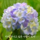 행복한아침 - 안성시 서동대로 4061 | 행복한아침
