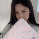 블루아이즈캣 네이버블로그