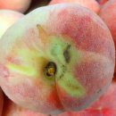 청석농장 이미지