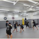 리드생활건강 이미지