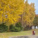 오창초 가좌분교 이미지