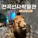 연천기획 | 연천 전곡선사박물관 후기｜아이랑 가볼만한 실내 체험 추천 (입장료·주차·체험)