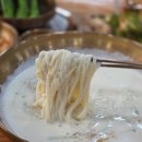 나들이 | 파주 콩국수 맛집 천제국수 헤이리 나들이 후기