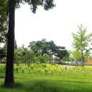 패밀리공원 이미지