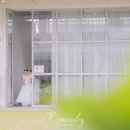 이안솔라 이미지