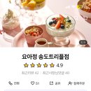 요거트아이스크림의정석송도