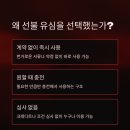 장성동 우체국 | 포항 장성동 알뜰 선불폰 사용 후기, 직접 써보고 느낀 점