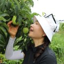 늘봄농장 이미지