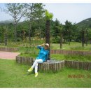 황영조기념관 이미지