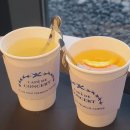 카페드콘서트