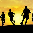 경우체육관 이미지