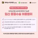 마곡 산부인과 임신검사 비용 빠른 확인 결과 이미지