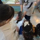 노랑통닭(김천혁신점) | 김천실내동물원 다솜생태체험관 | 보고 듣고 만지고 직접 체험한 후기