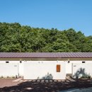 시기공추 이미지