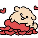 송쉐프(평택고덕점)