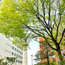 백주유치원 이미지