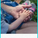 사회적협동조합강북행복한돌봄 이미지