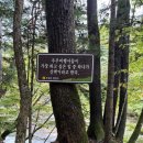 평창 월정사 전패 이미지