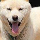 덕의농장 이미지