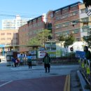 세종초등학교 이미지