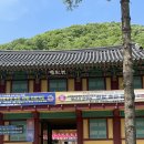 스테이오묘 | [템플스테이]묘적사 템플스테이 후기