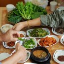 정통옛날쌈밥 네이버블로그