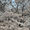 템템 - 중구 명동8가길 6 | ｡*⋆₊ 스튜디오 템템 브라이덜 샤워 후기 🕊️🫧
