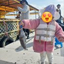 무기수산좌대낚시터 | [충남 당진 좌대낚시] 손맛 보장 후기