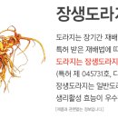 장생약국 이미지