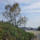 양덕2리 이미지