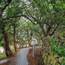 정진목장 이미지